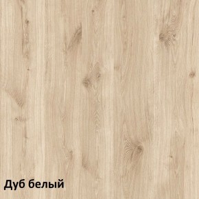 Эйп Шкаф для одежды 13.334 в Пуровске - purovsk.mebel-74.com | фото