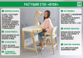 Комплект растущий стол и стул с чехлом 38 попугаев «Вуди» (Серый, Береза, Салют) в Пуровске - purovsk.mebel-74.com | фото