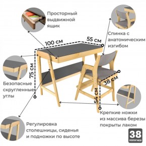 Комплект растущий стол и стул с чехлом 38 попугаев «Вуди» (Серый, Береза, Серый) в Пуровске - purovsk.mebel-74.com | фото