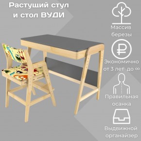 Комплект растущий стол и стул с чехлом 38 попугаев «Вуди» (Серый, Без покрытия, Монстры) в Пуровске - purovsk.mebel-74.com | фото